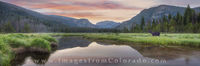 Rocky Mountain National Park Moose at Sunrise Panorama 1