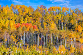 Autumn colors arrive with orange and gold vibrance in Winter Park.