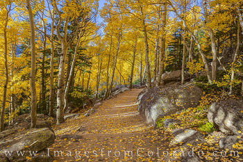 Autumn Colors of Rocky Mountain National Park 11