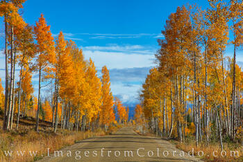 CR 73 Autumn Colors - Fraser 930-1