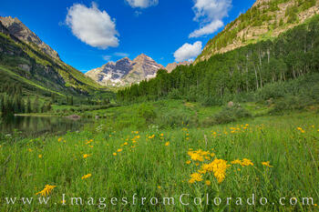 Colorado Wildflowers and the Maroon Bells on a Summer Morning 1