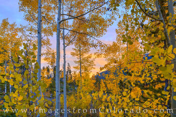 Colors of an Aspen Sunrise 927-1.tif