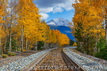 Train tracks lead through a corridor of golden aspen leaves on a fall morning near Winter Park, Colorado.