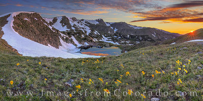 King Lake Sunflower Sunrise Panorama 703-1
