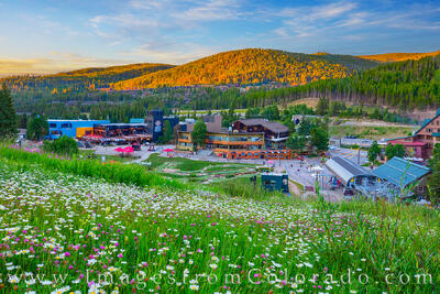 Winter Park Ski Base, seen in summer, is full of activities for locals and tourists. 