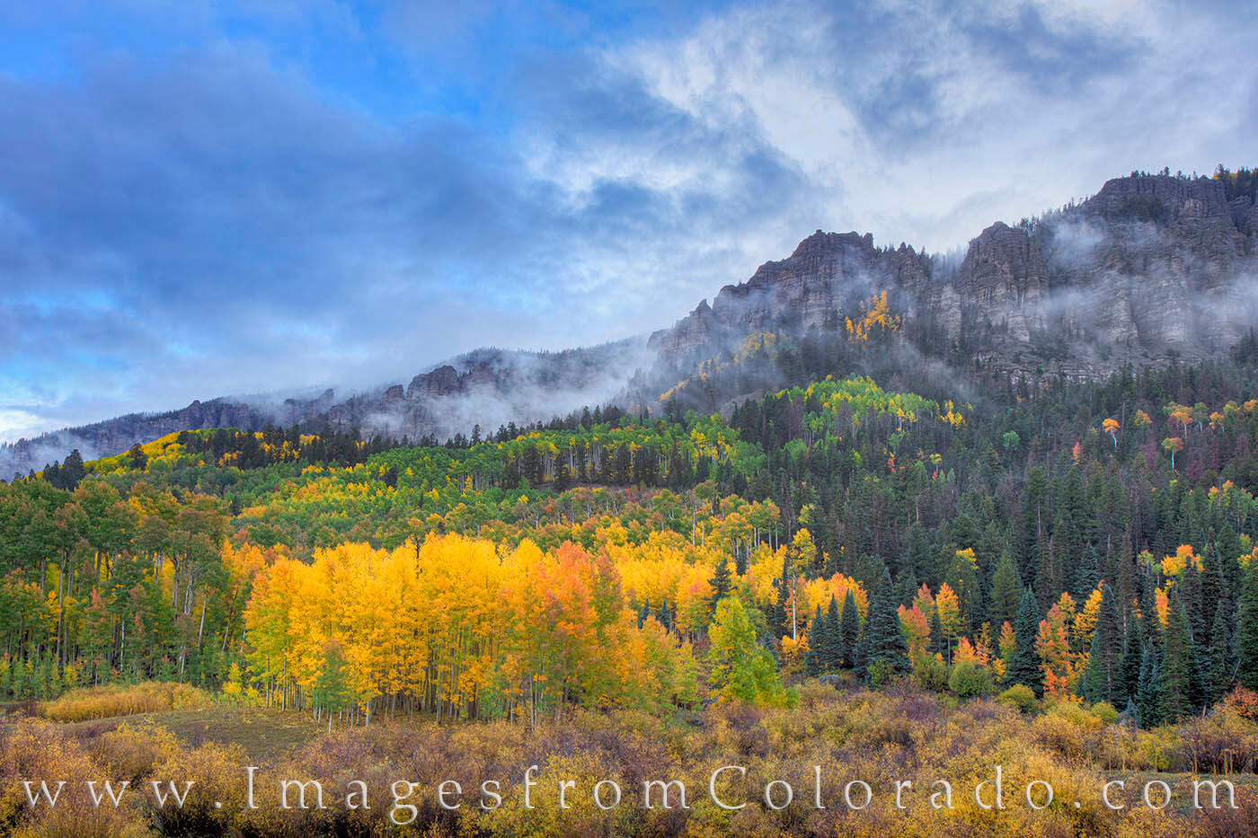A splash of golden aspen leaves adds color to an area of the San Juan Mountains on a cold, October evening. A storm has just...