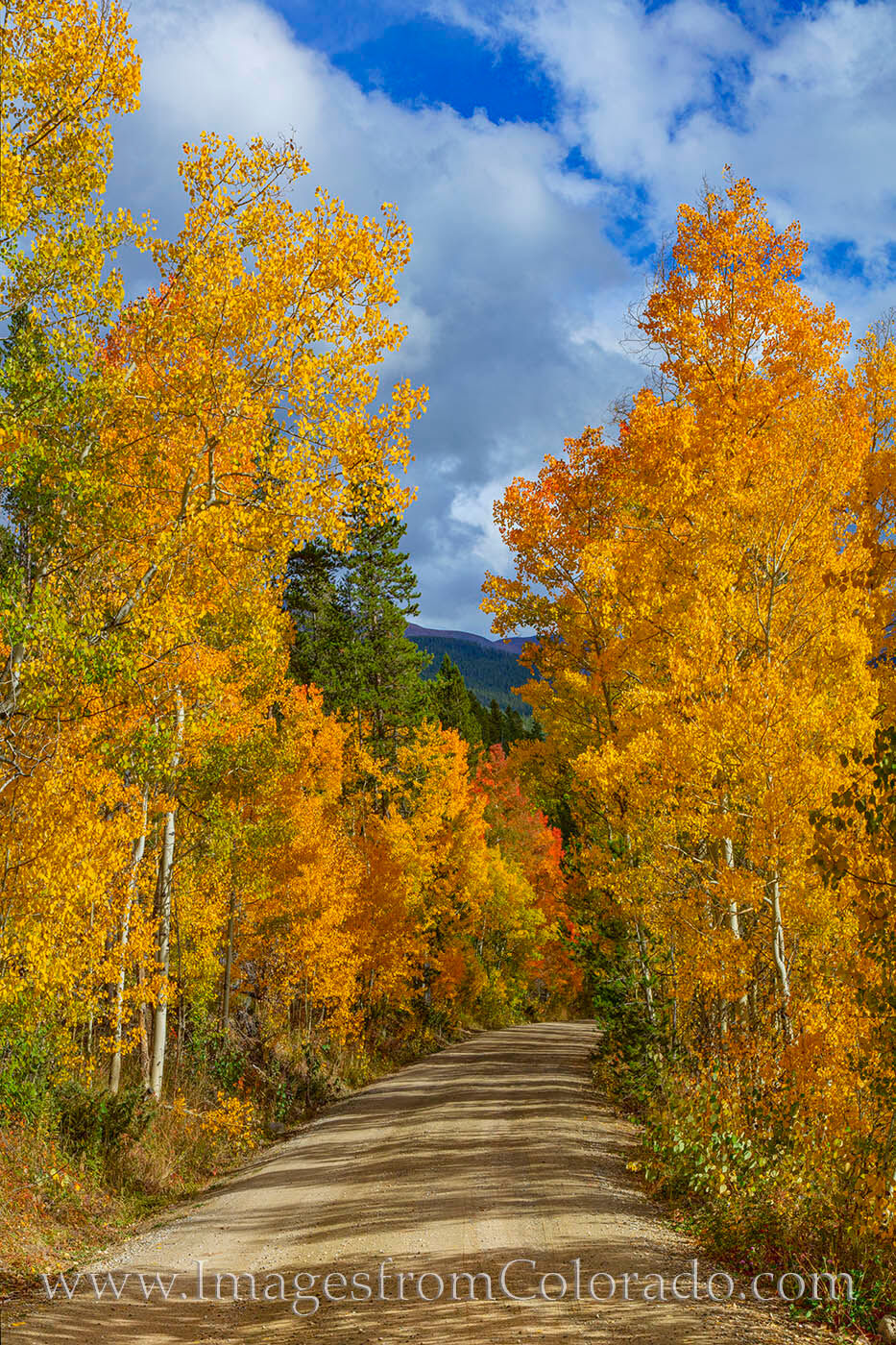 The fall colors in and around Winter Park were among the best I’ve ever seen in my home-away-from-home, and this aspen photograph...