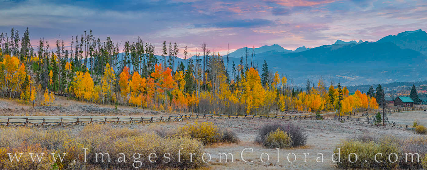 Colorful aspen show off their gold and orange leaves along a county road near Fraser, Colorado. This panorama was taken the first...
