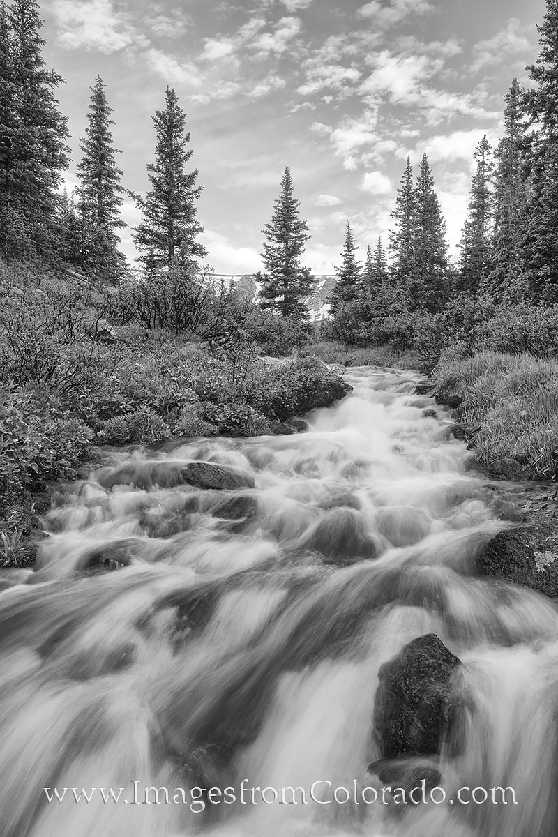 This small stream near the top of Berthoud Pass near Winter Park, Colorado, rushes with water during the melting of spring snows...