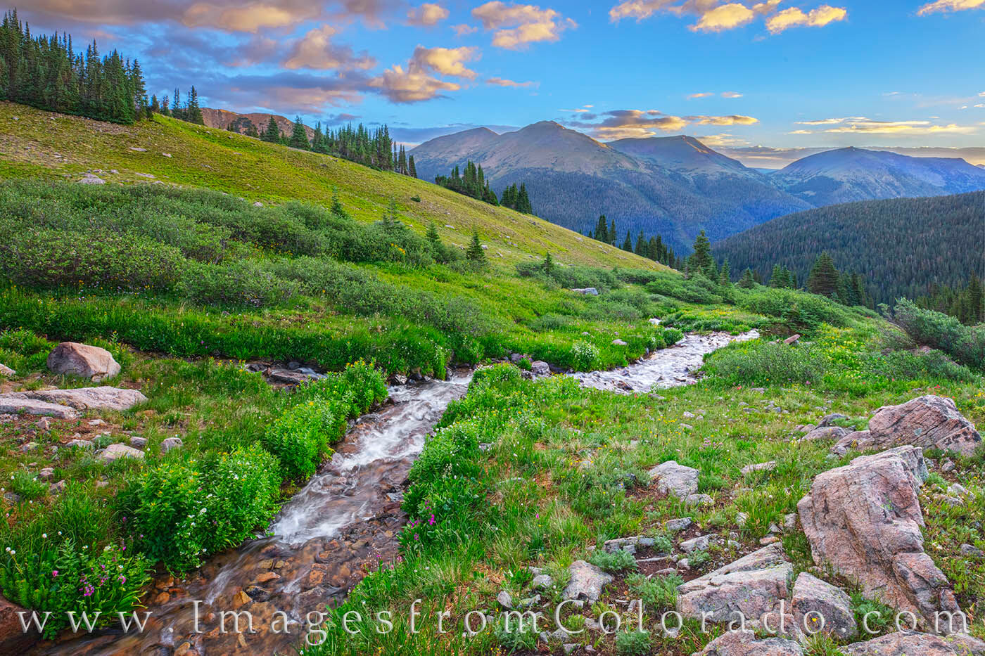 This small stream flows down from melting snow high up in the cirque of Butler Gulch. On this August morning, temperatures were...