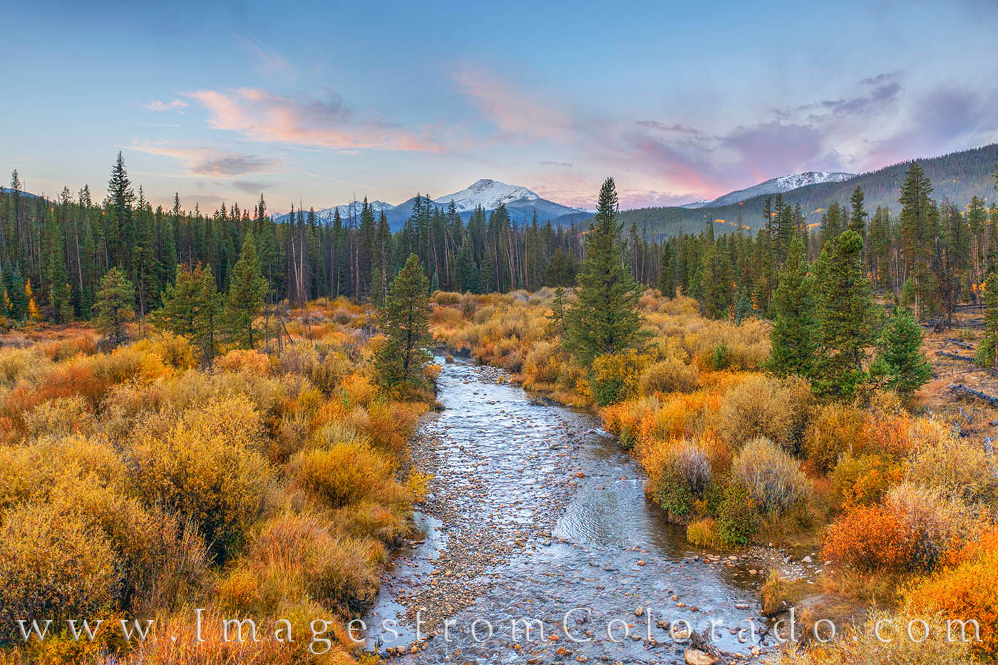 St. Louis Creek acts as a foreground surrounded in the gold of Autumn colors as Byers Peak rises into the cold October morning sky.
