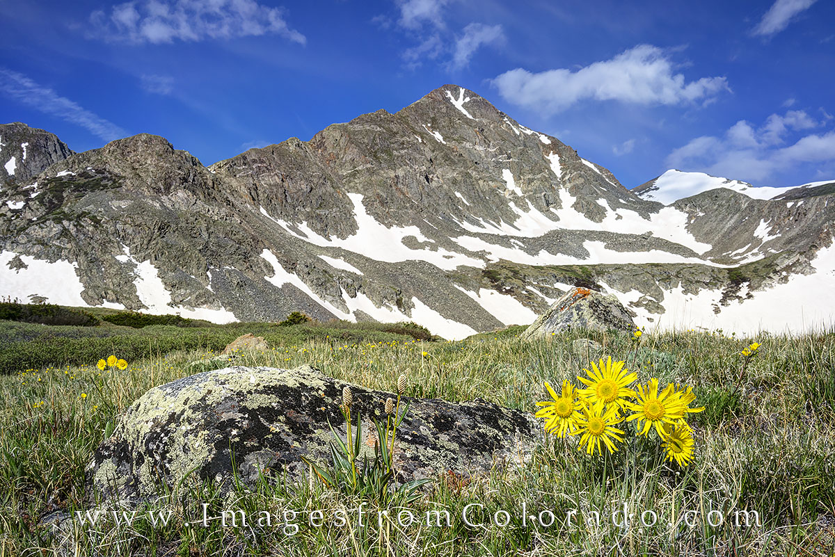Colorado wildflowers fill the meadows of the Crystal Lakes hike near 12,000 feet in elevation. Upper Crystal Lake and Crystal...
