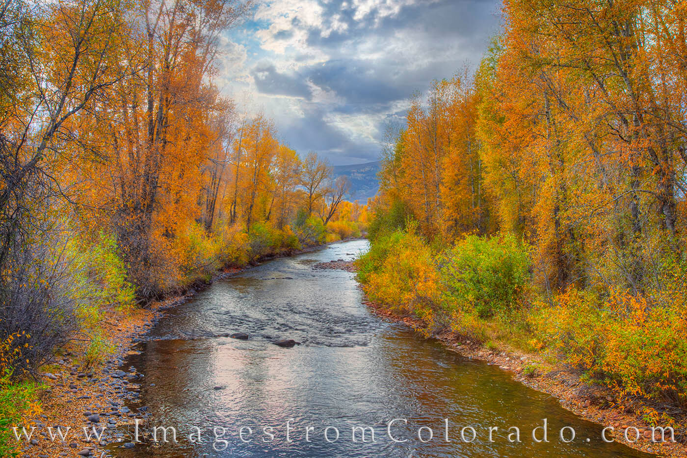 The Fraser River flows through Granby, Colorado, on a cool, Fall afternoon as golden cottonwood lines its path.