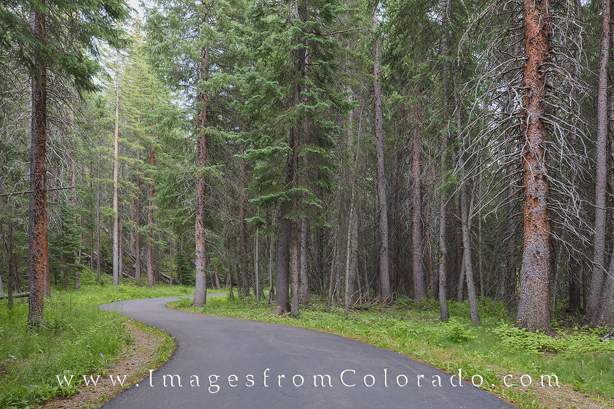 Between the Winter Park ski base and Fraser, Colorado, the Fraser River trail offers 6 miles of beautiful scenery to enjoy. Whether...