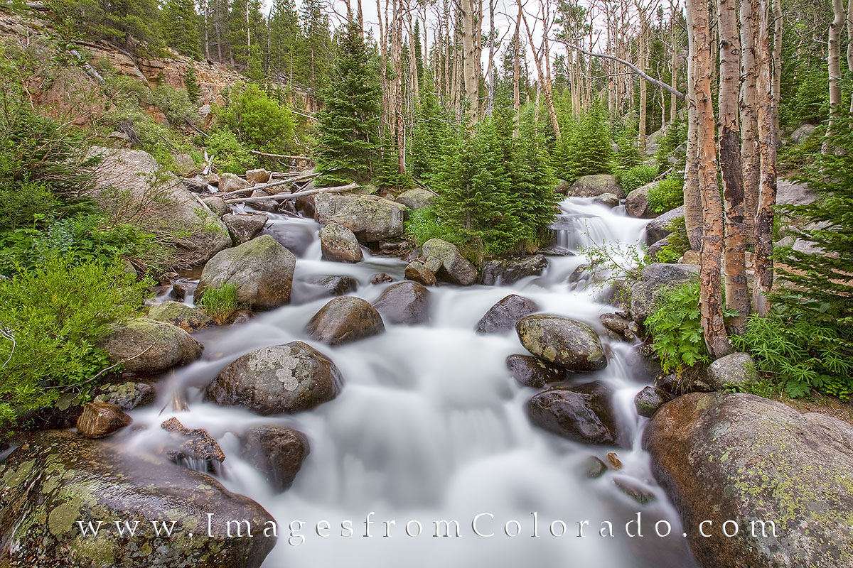 On the Estes Park side of Rocky Mountain National Park near Bear Lake, Glacier Creek flows fast as spring melt fills this little...