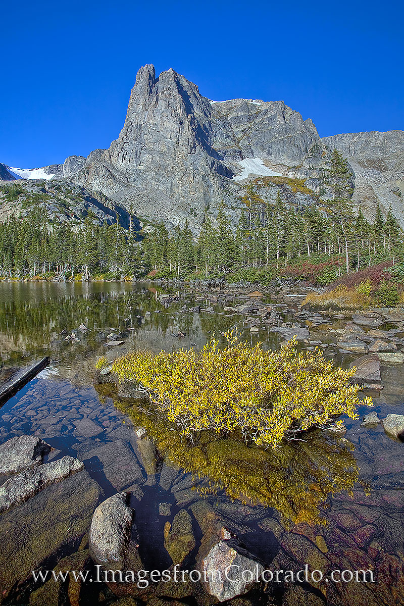 Hallett Peak rises 12,713' above the the forest floor of Rocky Mountain National Park. This beautiful rocky peak is near Bear...