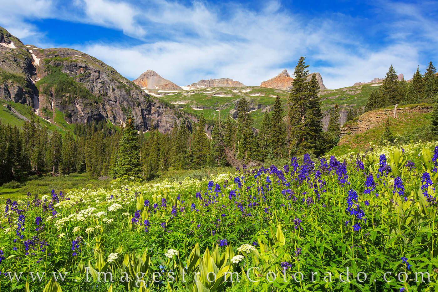 Lupine fill the meadows in the Ice Lakes Trail basin. In the distance, four 13,000’ peaks rise into the cool morning air, including...
