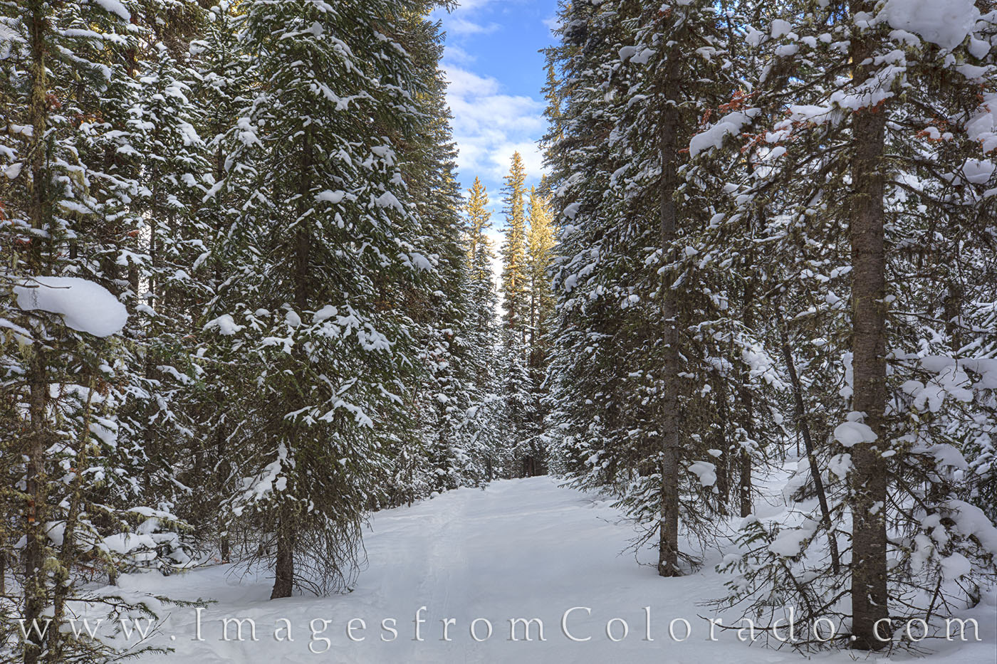 Lost in the Byers Peak Wilderness, my journey took me on pristine trails of fresh snow. The trees, covered in white, took on...