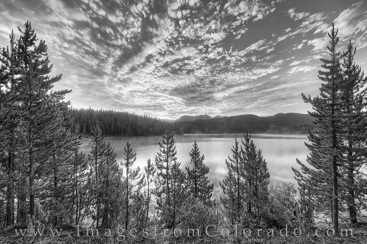 Morning at Meadow Creek brings a study in contrast - from the dark pine to the beautiful sunrise clouds above. This photograph...