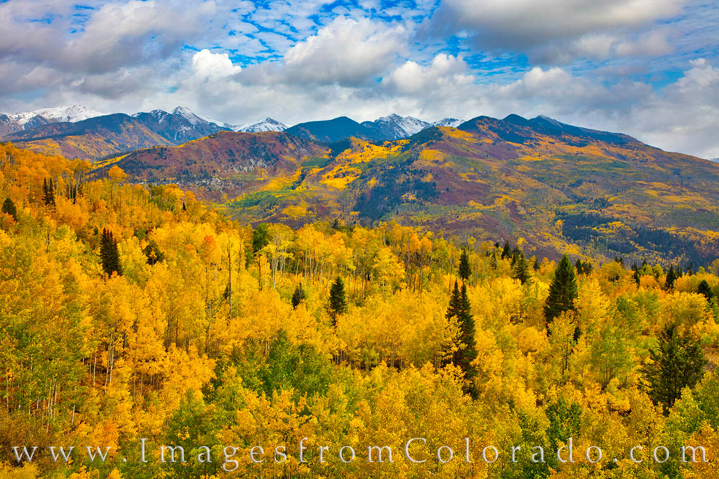 From high up on McClure Pass (8,755’), the aspen in Autumn show their brilliant gold and orange colors. Highway 133 runs up...