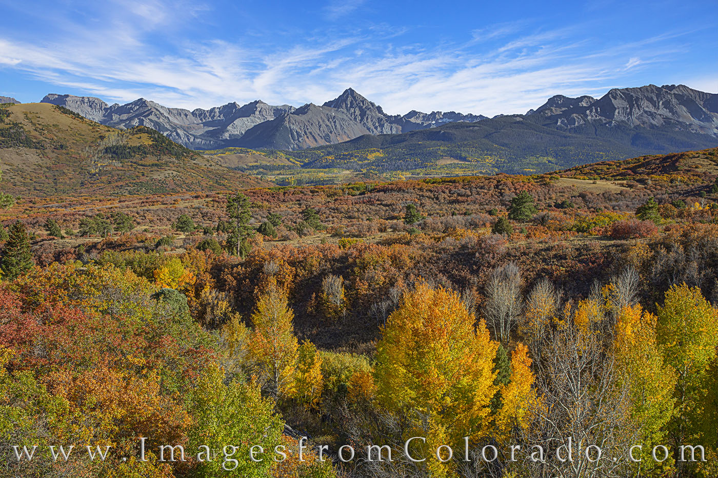Fall colors fill the slopes leading up to the majestic Dallas Divide between Ridgway and Telluride. Scrub oak and aspen bring...