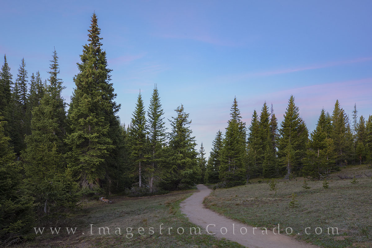 Near Lake Irene in Rocky Mountain National Park, one of my favorite trails leads around this small lake and curves into the forest...
