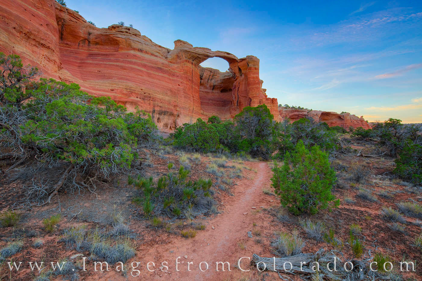 From the Arches Loop Trail below Rattlesnake Arch, this persptive shows the iconic arch of this canyon from above on a perfect...