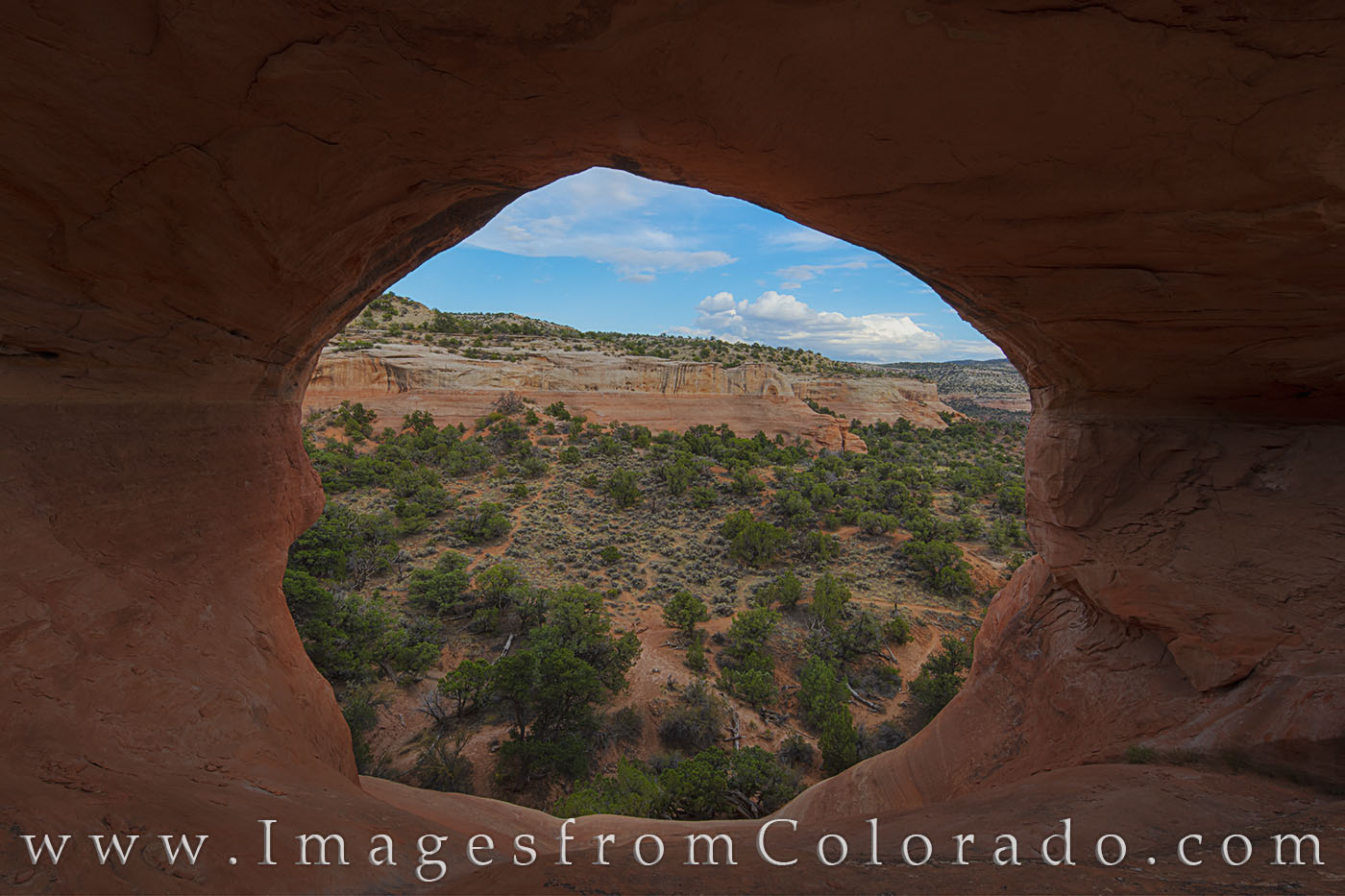 The upper cliffs of Rattlesnake Canyon can be seen through the opening of Cedar Arch, also called First Arch. This portion of...