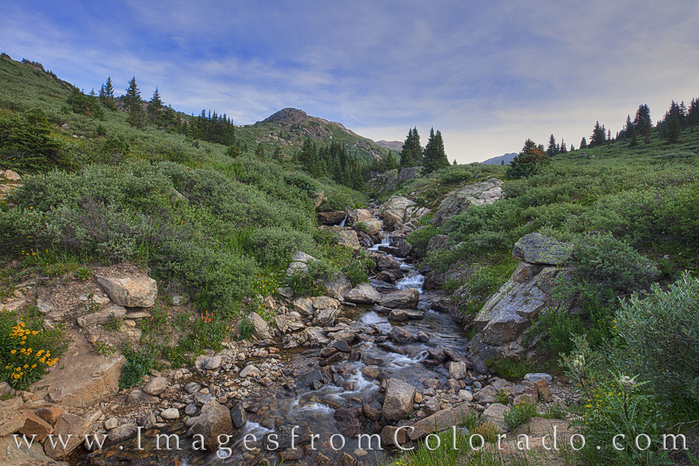Just west of Aspen, Colorado, along Highway 82, this little stream flows down from high up in the mountains. Found at the start...