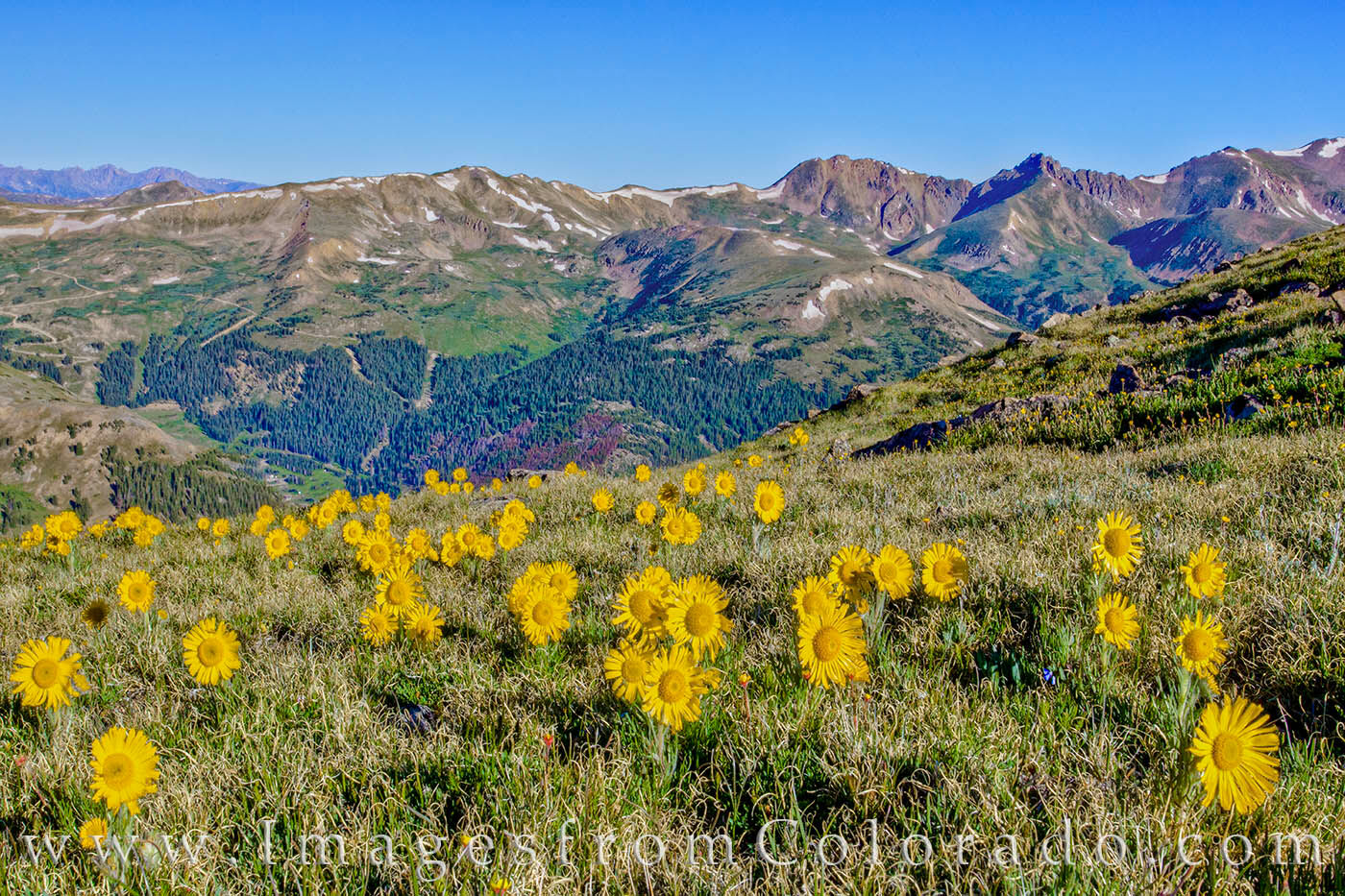 Near the top of Loveland Pass, just a few miles up the road from Breckenridge, there are several 13ers you can hike. Along one...
