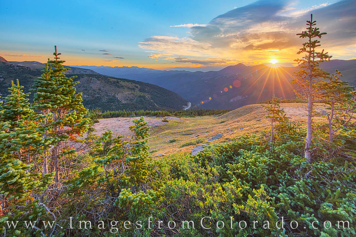 Sunrise comes to the Continental Divide Trail high up on Berthoud Pass.