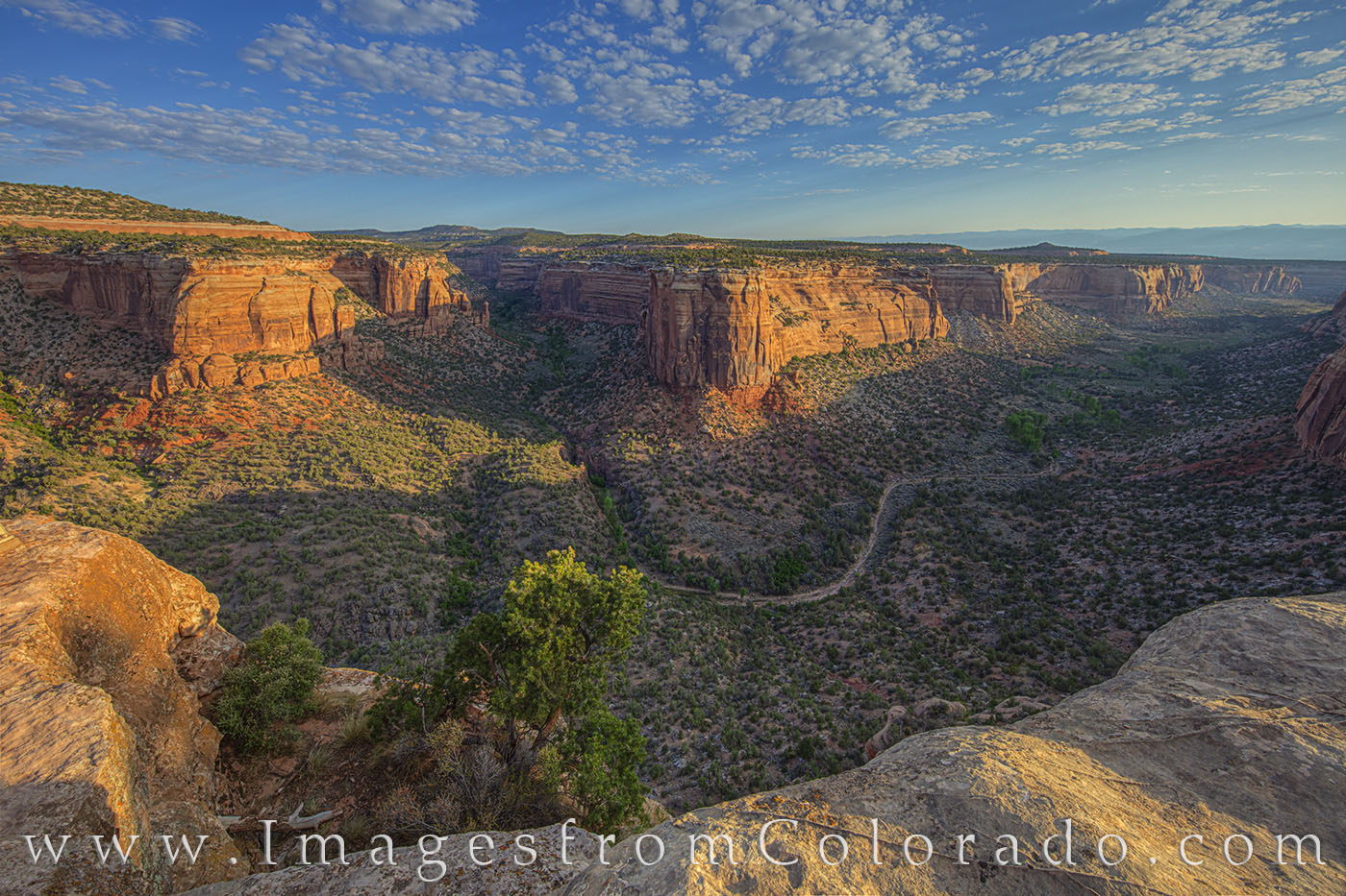 The sunlight began to stream into Ute Canyon on this gorgeous summer morning along Rim Rock Road in Colorado National Monument...