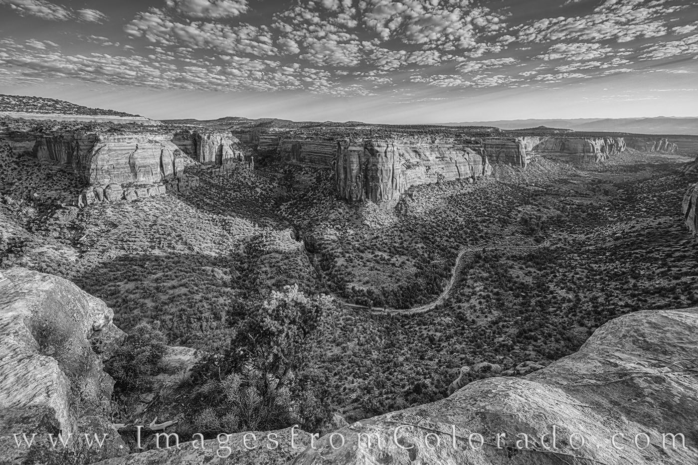 The sun begins to rise in the east and light fills into Ute Canyon. This beautiful chasm in Colorado National Monument is a great...