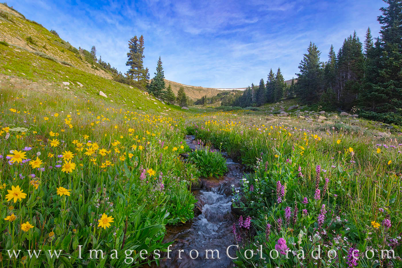 High up on Berthoud Pass, a lonely stream flows down the slopes from late summer melting snow. With the help of Googlemaps and...