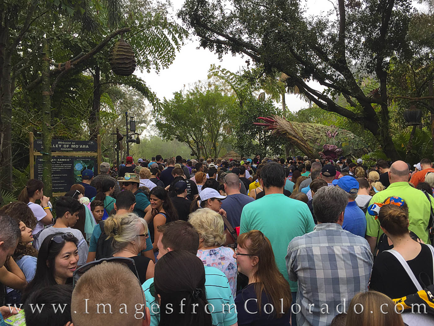 The crowds to see Pandora thick&nbsp;and ride the Flight of Passage, Disney's new Avatar ride, were several hours long. Luckily...